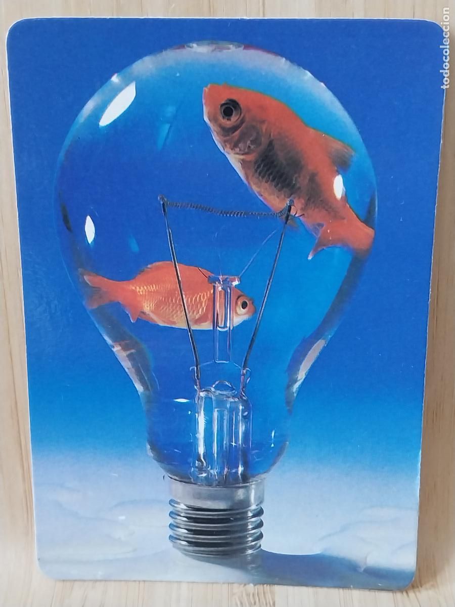 Coleccionismo Calendarios: PECES COLORES BOMBILLA CALENDARIO 1990 PUBLI *** BAR BIARRITZ *** REF MP 5 ***