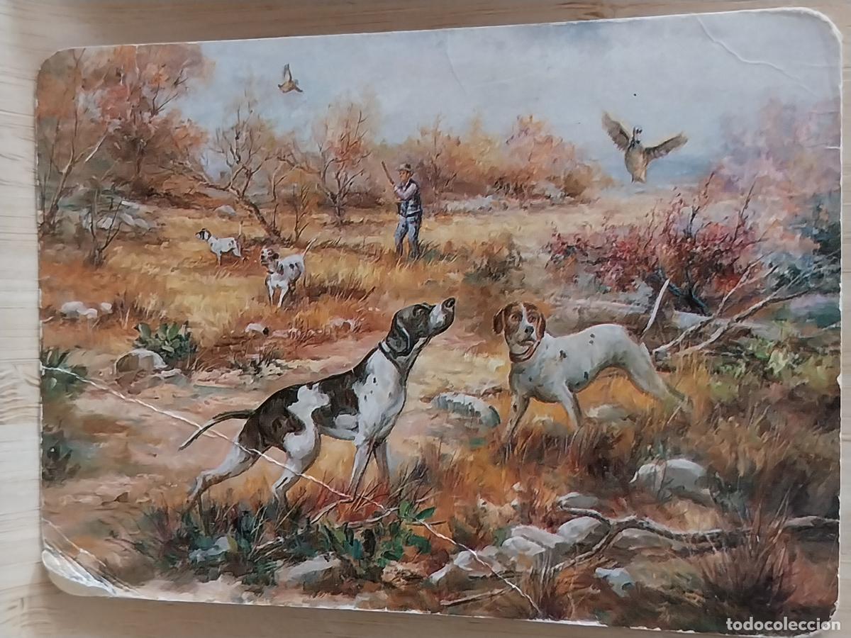 Coleccionismo Calendarios: CAZA PERROS PATOS CALENDARIO 1999 PUBLI *** TUCAN VETERINARIO *** REF BO 647