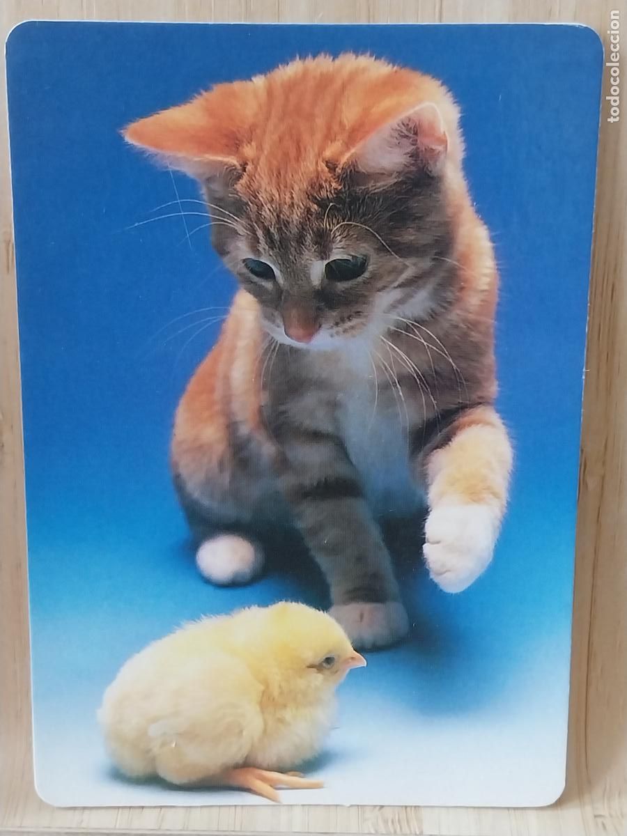 Coleccionismo Calendarios: GATO CACHORRO CALENDARIO 1998 PUBLI *** CAFE ALFREDO&acute;S *** REF WCB 213