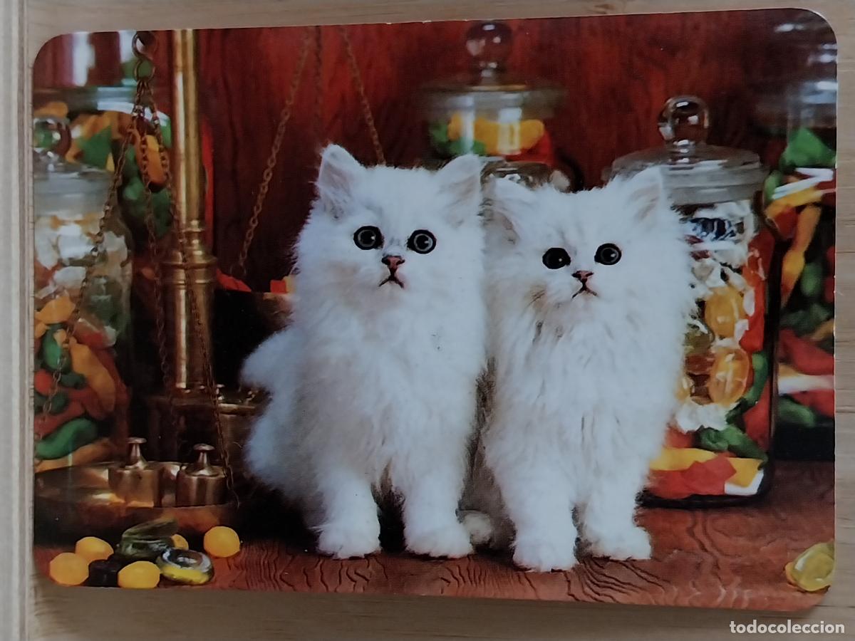 Coleccionismo Calendarios: GATOS CACHORROS CALENDARIO 1997 PUBLI *** MERCERIA ANGELINES *** REF BO 593