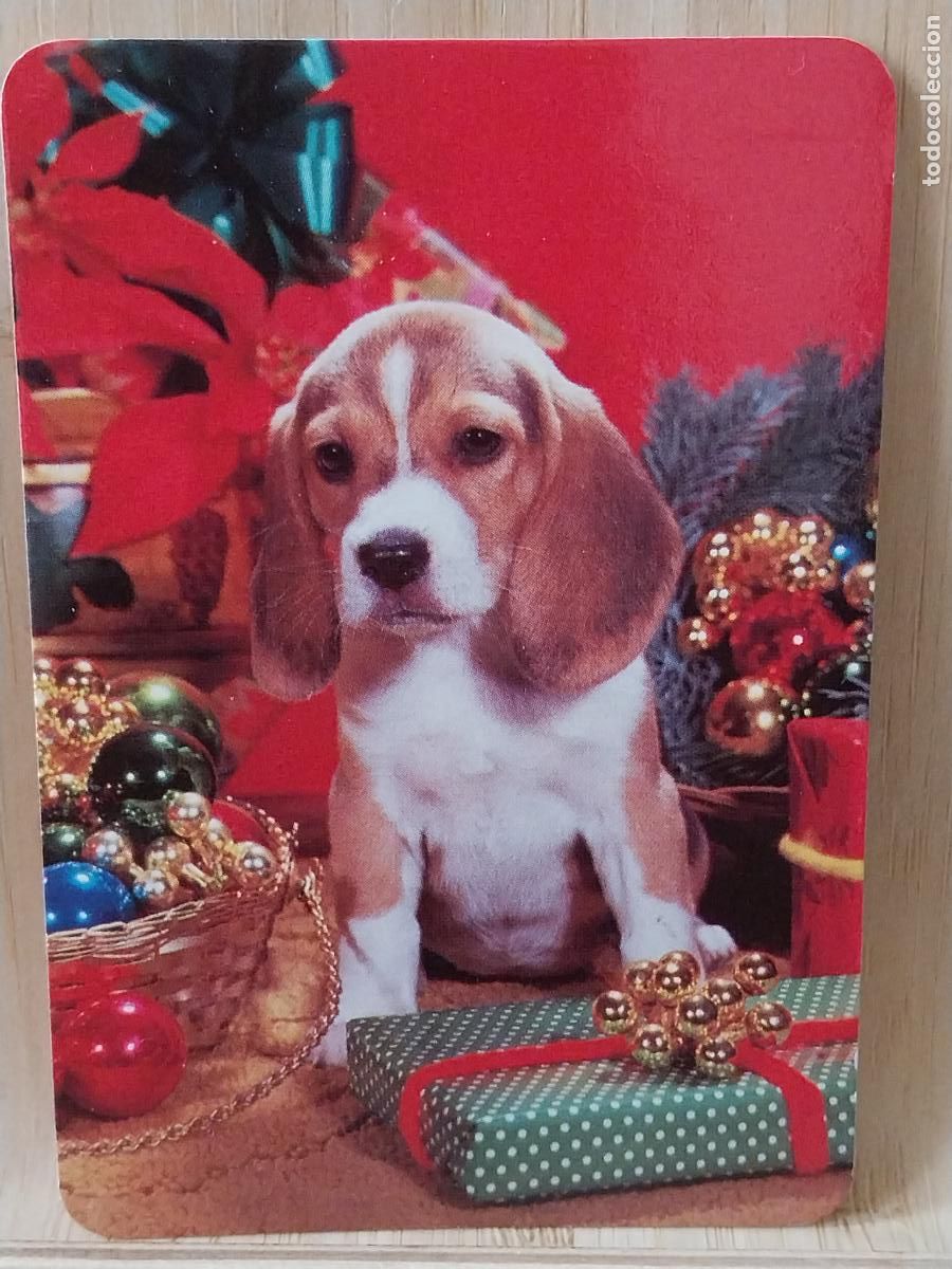 Coleccionismo Calendarios: BEAGLE BOLAS NAVIDAD CALENDARIO 1999 PUBLI *** OROPENDOLA PAJARERIA RIVAS *** REF RR 47