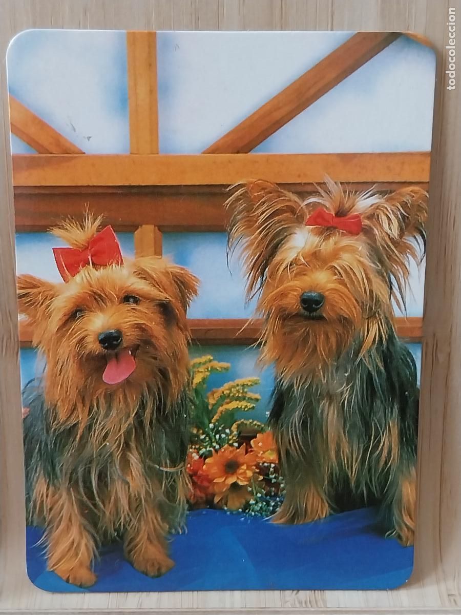 Coleccionismo Calendarios: PERRITOS CALENDARIO 1999 PUBLI *** TALLERES MORATALAZ *** REF BO 561