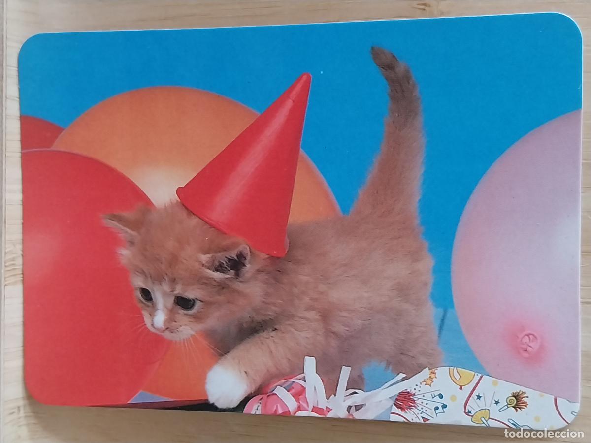 Coleccionismo Calendarios: GATITO CAPIROTE CALENDARIO 1999 PUBLI *** PAJARERIA OROPENDOLA RIVAS *** REF RR 41