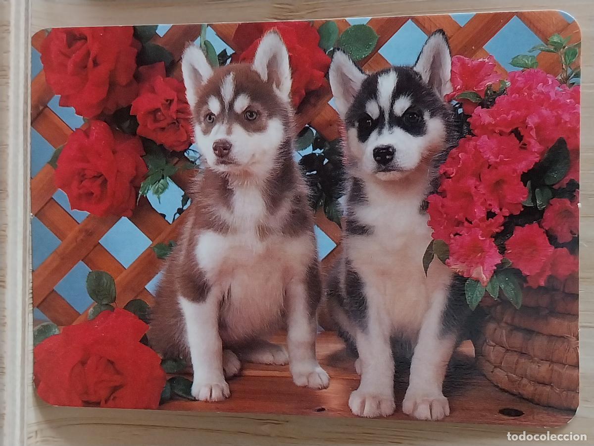 Coleccionismo Calendarios: HUSKY CACHORROS CALENDARIO 1992 PUBLI *** PAPELERIA MAYLE *** REF BO 5605