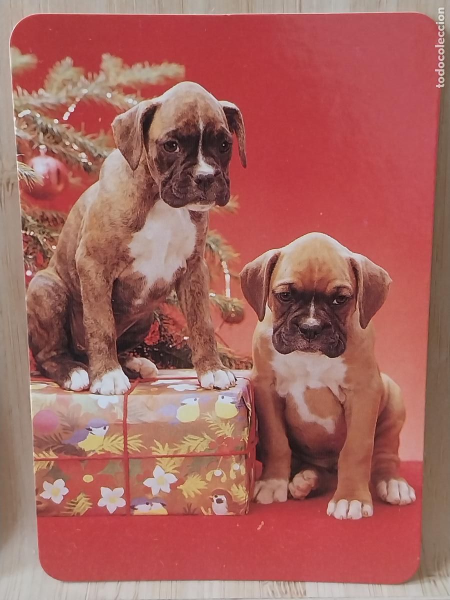 Coleccionismo Calendarios: PERROS CACHORROS CALENDARIO 1999 PUBLI *** DECO DONOSTIARRA *** REF EGC 98