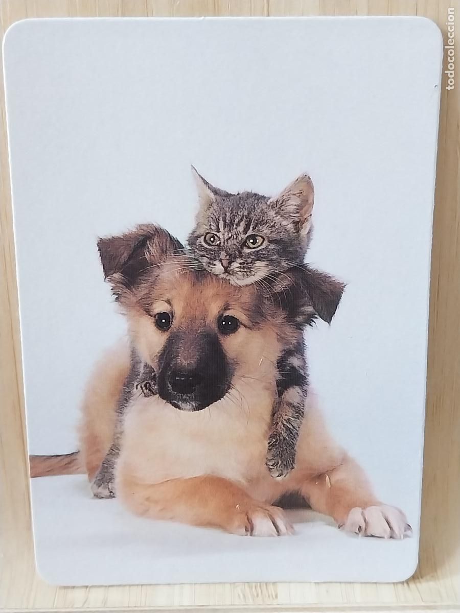 Coleccionismo Calendarios: PERRO GATO CALENDARIO 1990 PUBLI *** PAPELERIA IMAGEN *** REF MP 4