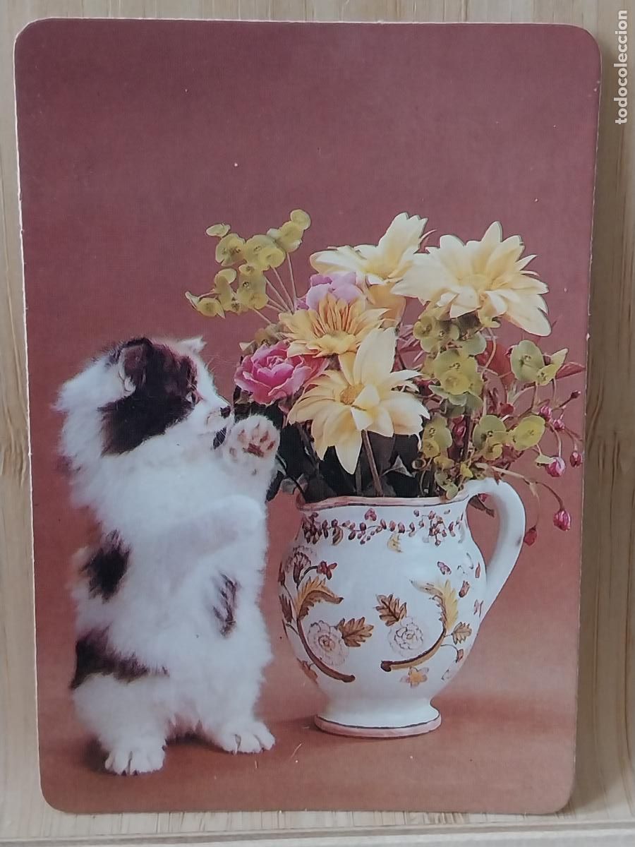 Coleccionismo Calendarios: JARRON GATO CALENDARIO 1990 PUBLI *** YESUS PELUQUERIA *** REF MP 6