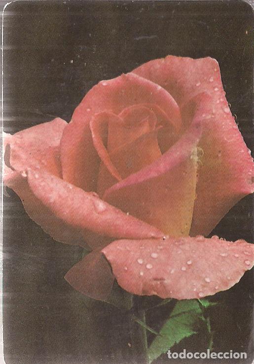 Coleccionismo Calendarios: CALENDARIO SERIE A&Ntilde;O 1991 SERIE M.P. N&ordm; 48
