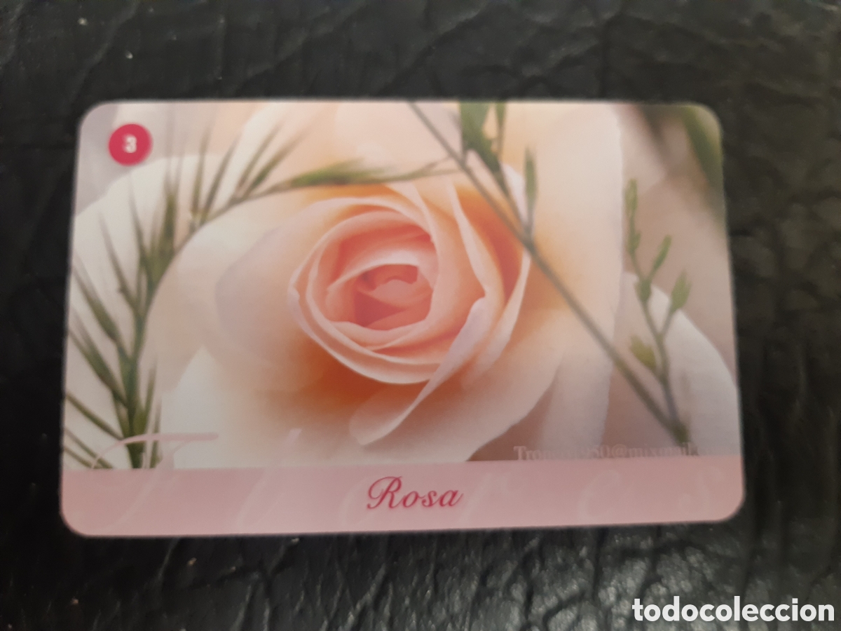Coleccionismo Calendarios: Calendario fournier Rosa 2014