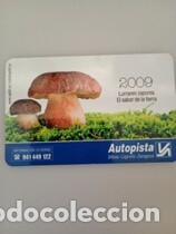 Coleccionismo Calendarios: Calendario 2009 Publicidad AUTOPISTA A-68