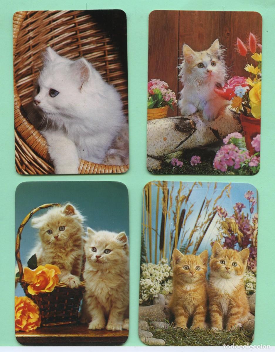 Coleccionismo Calendarios: Calendarios de Almer&iacute;a. A&ntilde;os 80. Tema gatos. Diferentes negocios