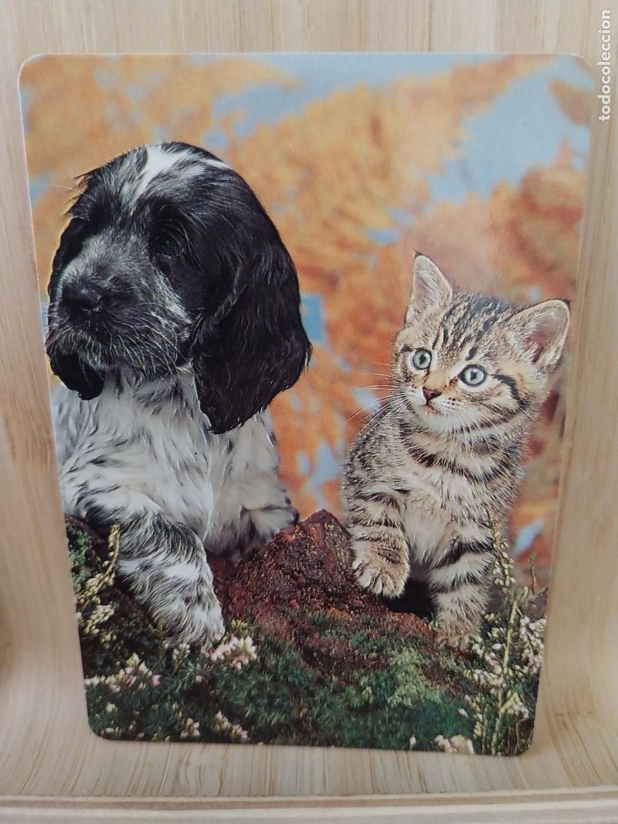 Collectionnisme Calendriers: GATO PERRO CALENDARIO A&Ntilde;O 1997 PUBLI *** BAR YOLI *** REF WCB 338 ***
