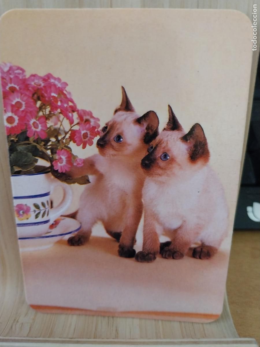 Coleccionismo Calendarios: GATITOS CALENDARIO A&Ntilde;O 1991 PUBLICIDAD PUBLI *** FOTOCOPIAS IMAGEN *** REF WCB 125