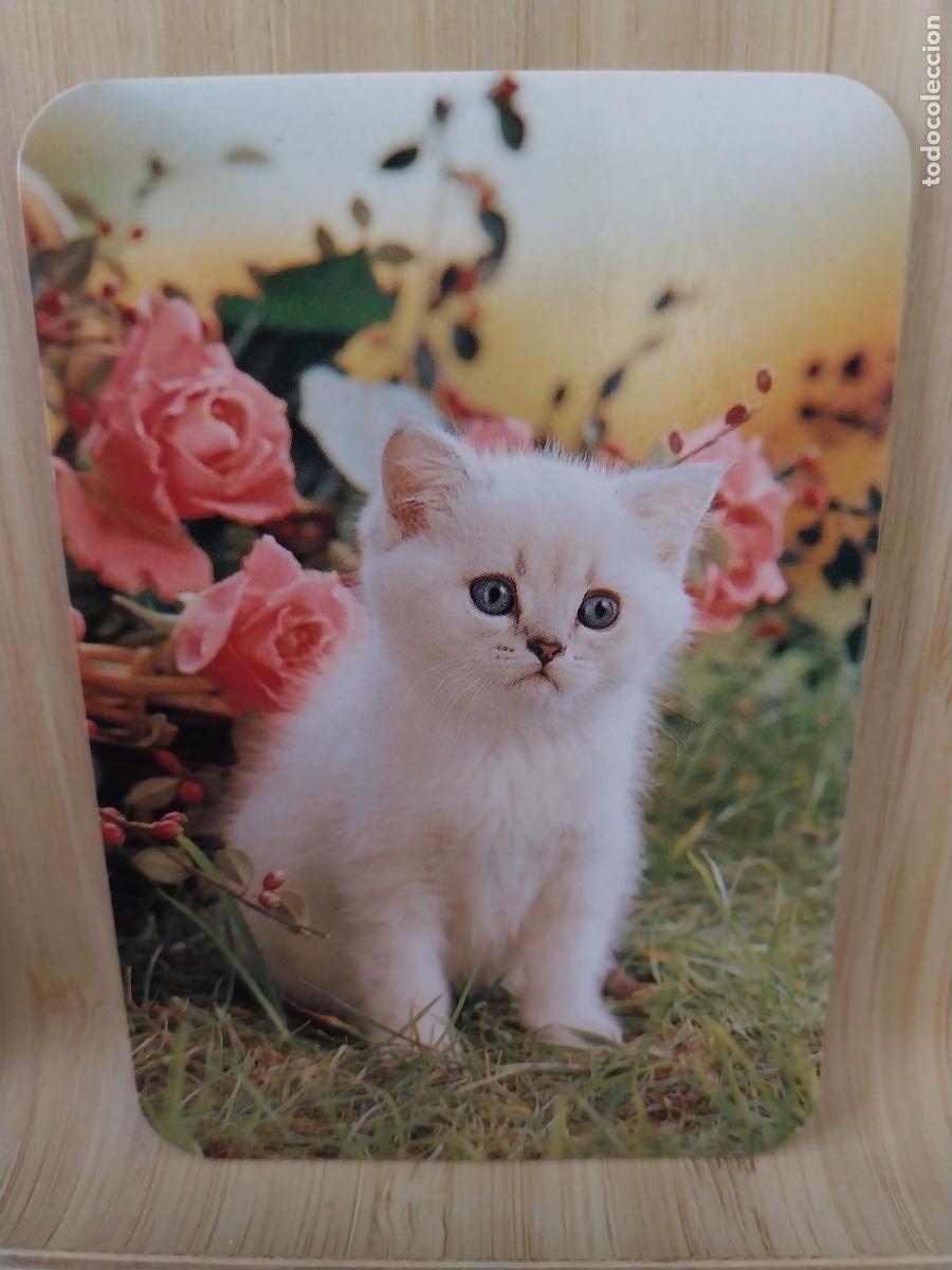 Colecionismo Calend&aacute;rios: GATO CACHORRO A&Ntilde;O 1991 PUBLICIDAD PUBLI *** VIDEO CLUB GADOVI *** REF CLB2514