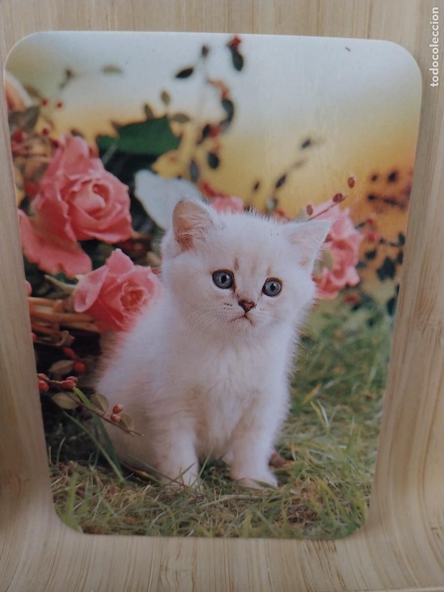 Coleccionismo Calendarios: GATO CACHORRO A&Ntilde;O 1991 PUBLICIDAD PUBLI *** VIDEO CLUB GADOVI *** REF CLB2514 +