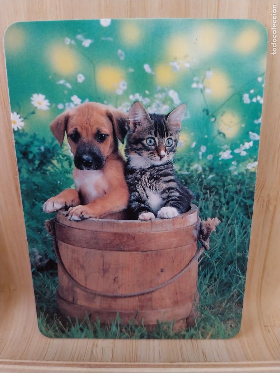 Coleccionismo Calendarios: GATO CACHORRO PERRO A&Ntilde;O 1991 PUBLICIDAD PUBLI *** VIDEO CLUB GADOVI *** REF WCB 330