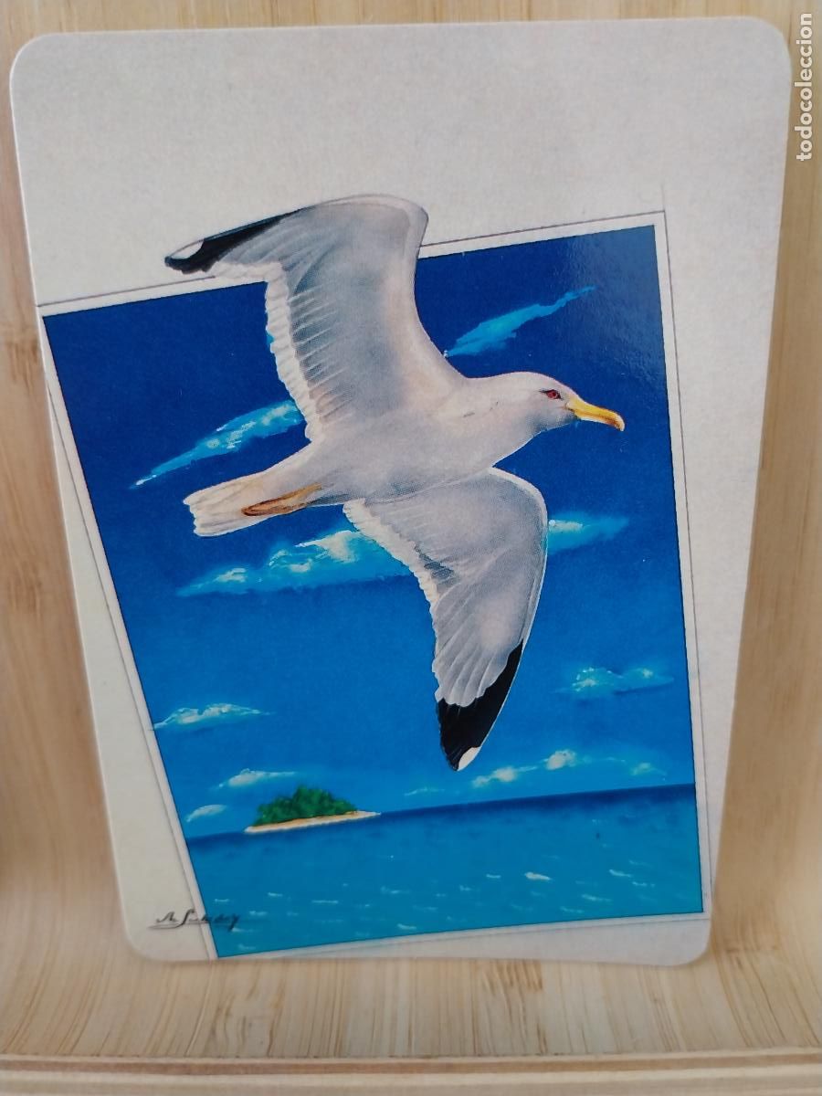 Coleccionismo Calendarios: GAVIOTA ILUSTRACION CALENDARIO A&Ntilde;O 1998 PUBLI * PAJARERIA OROPENDOLA * REF L 250 **