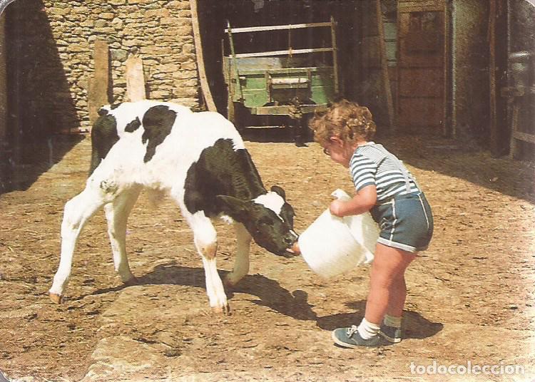 Coleccionismo Calendarios: CALENDARIO SERIE A&Ntilde;O 1991 SERIE B.O. N&ordm; 5454