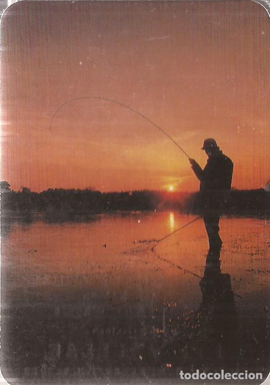 Coleccionismo Calendarios: CALENDARIO SERIE A&Ntilde;O 1991 SERIE W.C.B. N&ordm; 27