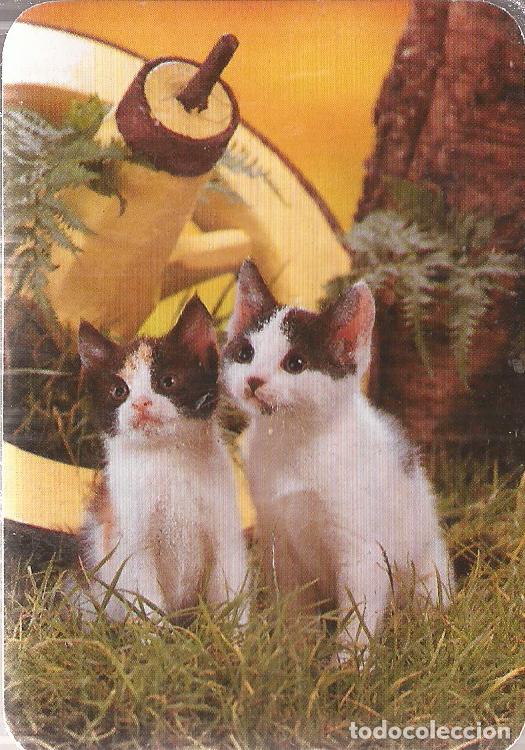 Coleccionismo Calendarios: CALENDARIO SERIE A&Ntilde;O 1991 SERIE E.D. N&ordm; 542