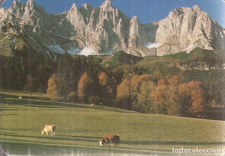 Coleccionismo Calendarios: CALENDARIO SERIE A&Ntilde;O 1990 SERIE C.B.. N&ordm; 336