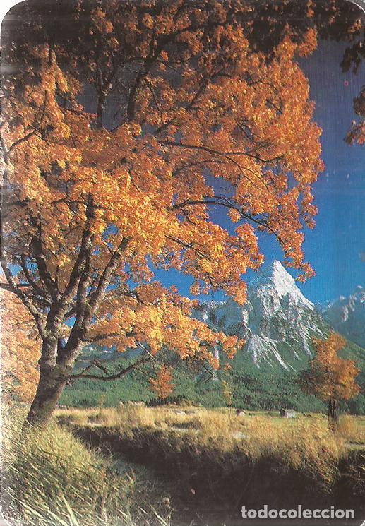 Coleccionismo Calendarios: CALENDARIO SERIE A&Ntilde;O 1990 SERIE C.B.. N&ordm; 342