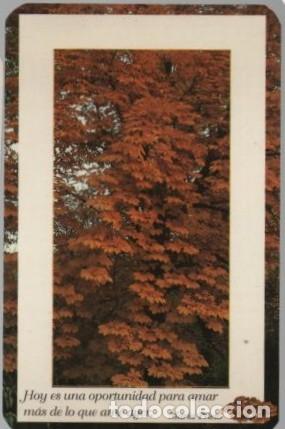 Coleccionismo Calendarios: CALENDARIO PAISAJE DE OTO&Ntilde;O A&Ntilde;O 1999 CAL-11133