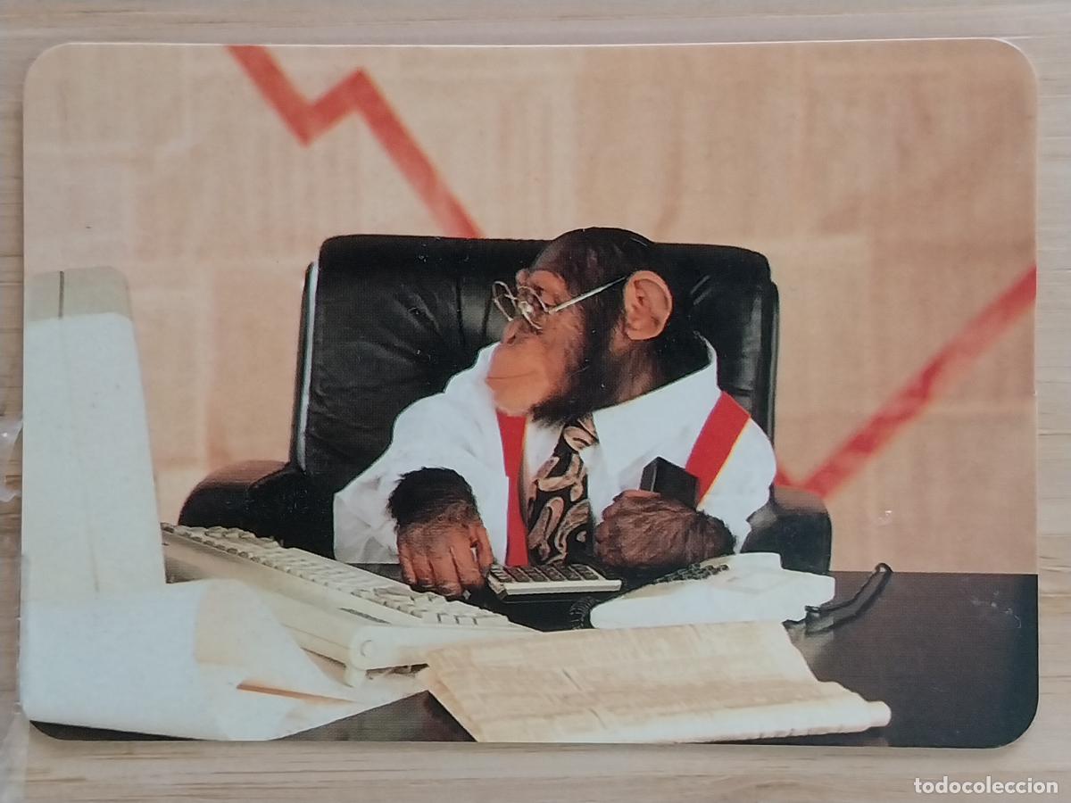 Coleccionismo Calendarios: CHIMPANCE BUSINESS CALENDARIO 1996 PUBLI BAR VINATEROS REF MC 36