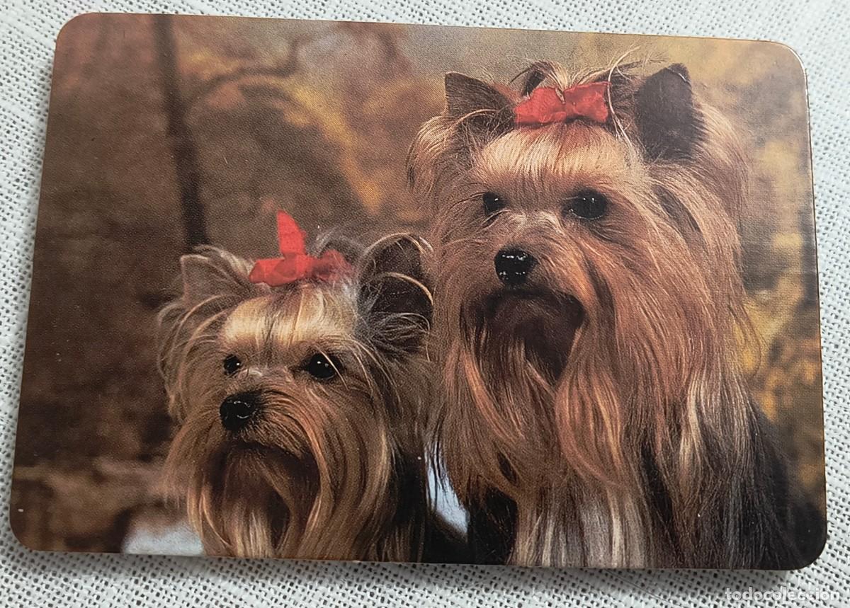 Coleccionismo Calendarios: CALENDARIO BOLSILLO | DOS PERRITOS - A&Ntilde;O 1990