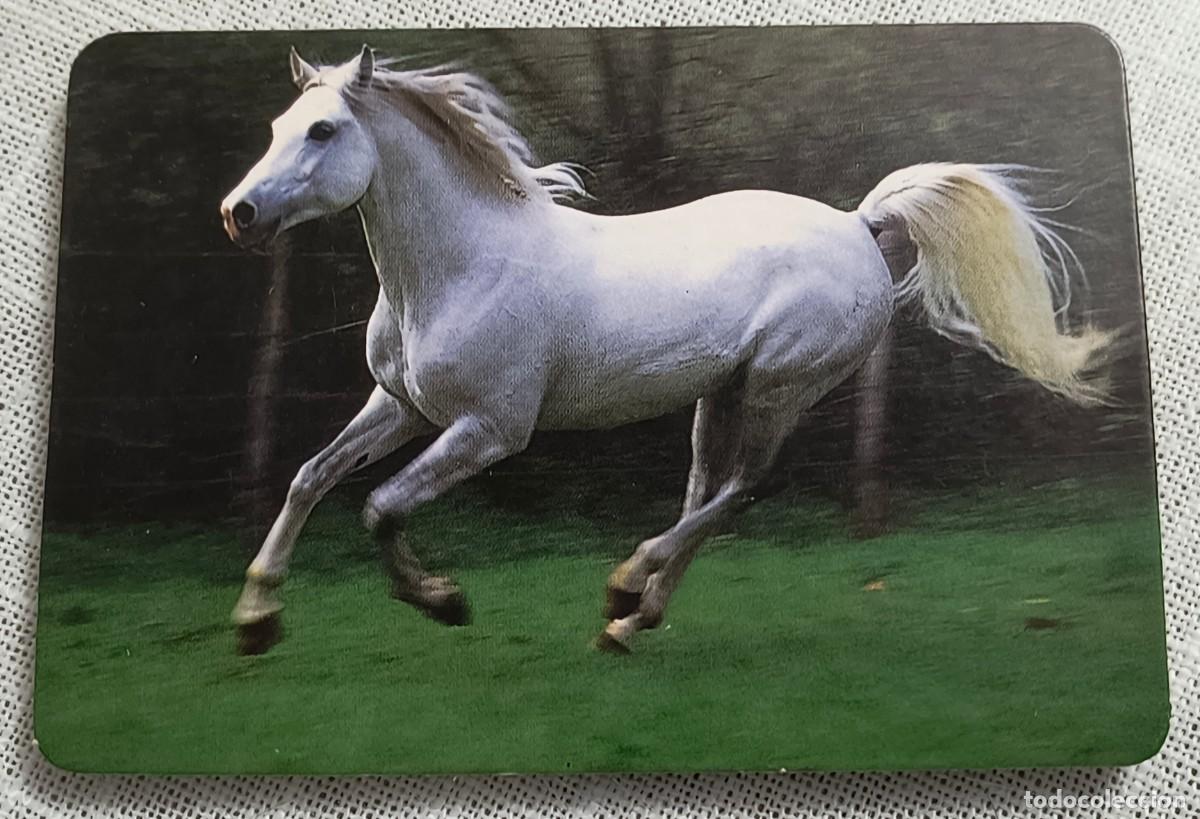 Coleccionismo Calendarios: CALENDARIO BOLSILLO | CABALLO BLANCO - A&Ntilde;O 1990