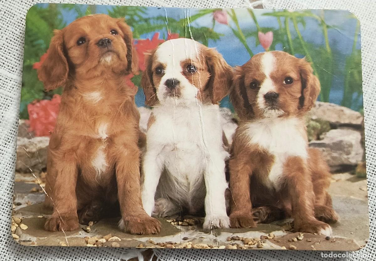 Coleccionismo Calendarios: CALENDARIO BOLSILLO | CACHORROS DE PERRO - A&Ntilde;O 1991