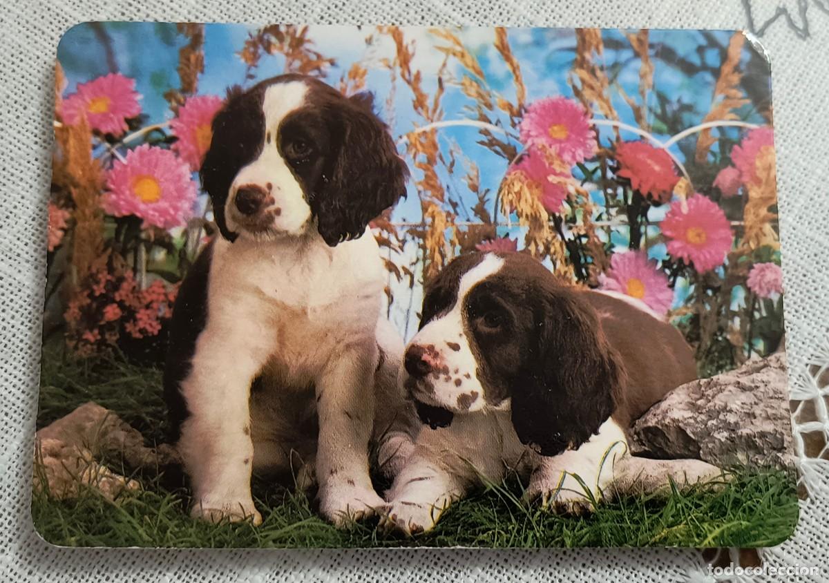 Coleccionismo Calendarios: CALENDARIO BOLSILLO | CACHORRO DE PERRO - A&Ntilde;O 1991