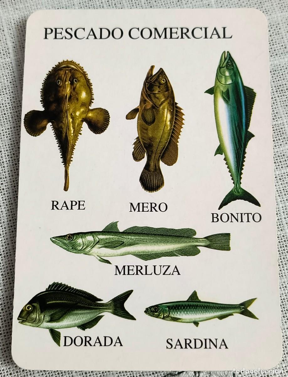 Coleccionismo Calendarios: CALENDARIO BOLSILLO | PESCADO COMERCIAL - A&Ntilde;O 1995