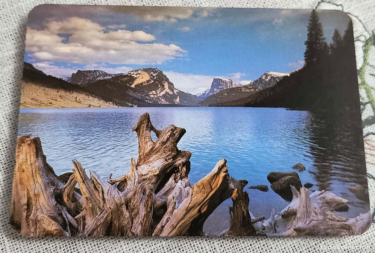Coleccionismo Calendarios: CALENDARIO BOLSILLO | PAISAJE NATURAL - A&Ntilde;O 1991