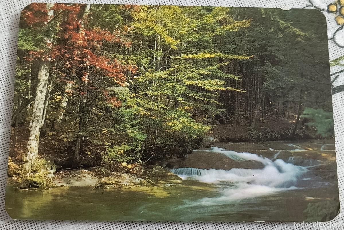 Coleccionismo Calendarios: CALENDARIO BOLSILLO | PAISAJE BOSQUE - A&Ntilde;O 1991