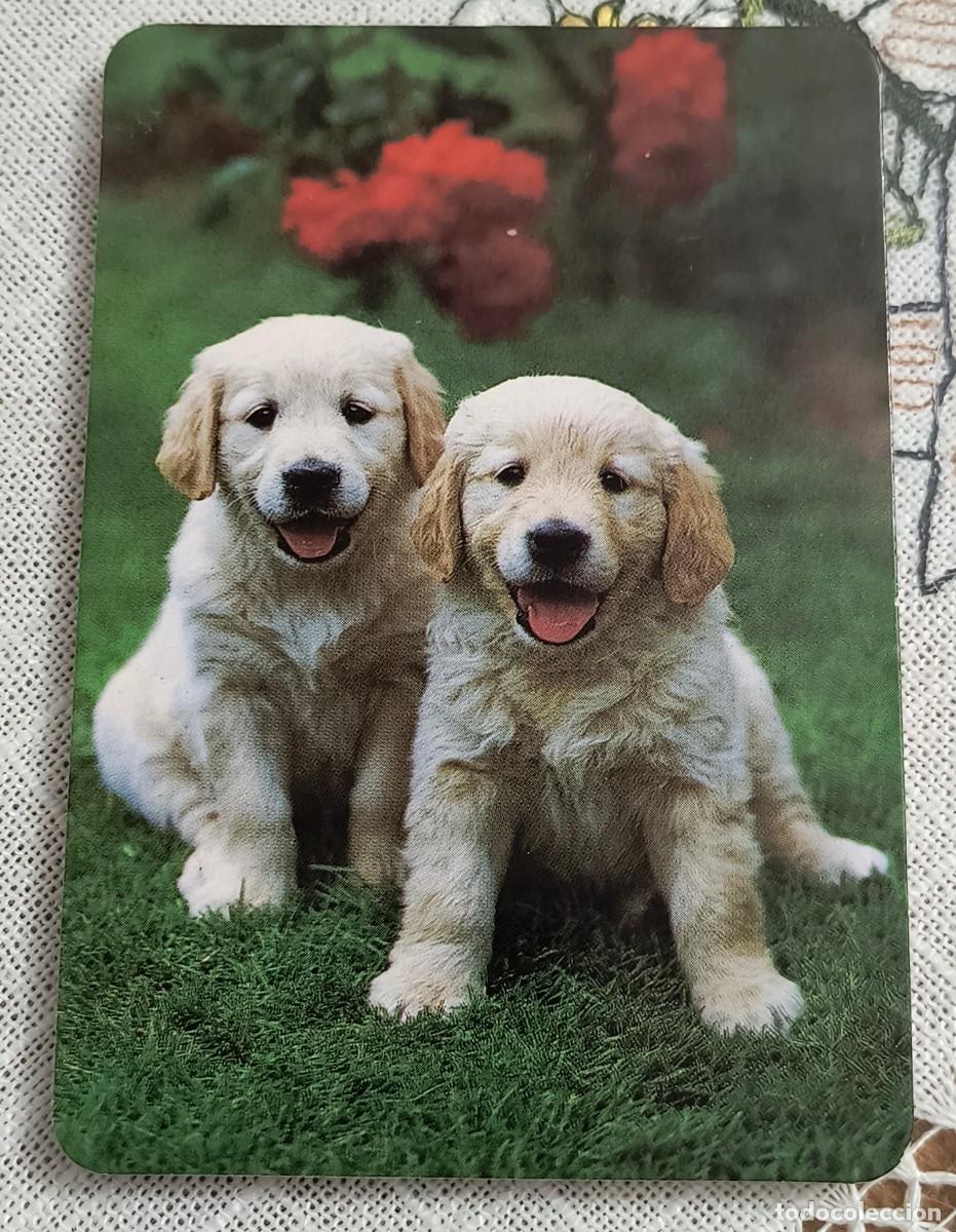 Coleccionismo Calendarios: CALENDARIO BOLSILLO | PERRITOS - A&Ntilde;O 1993