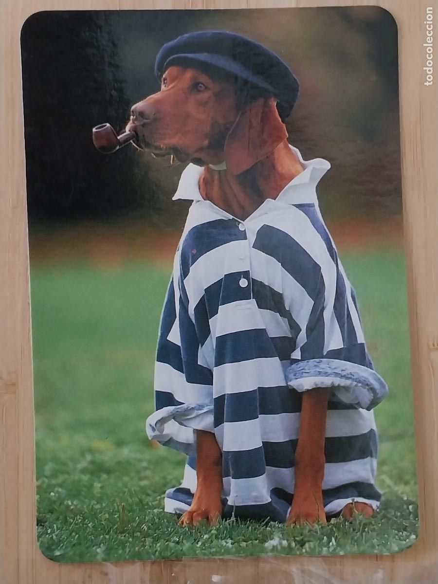 Coleccionismo Calendarios: PERRO MARINERO CALENDARIO 1995 PUBLI ** BAR YOLI PARLA ** REF MC 5 **