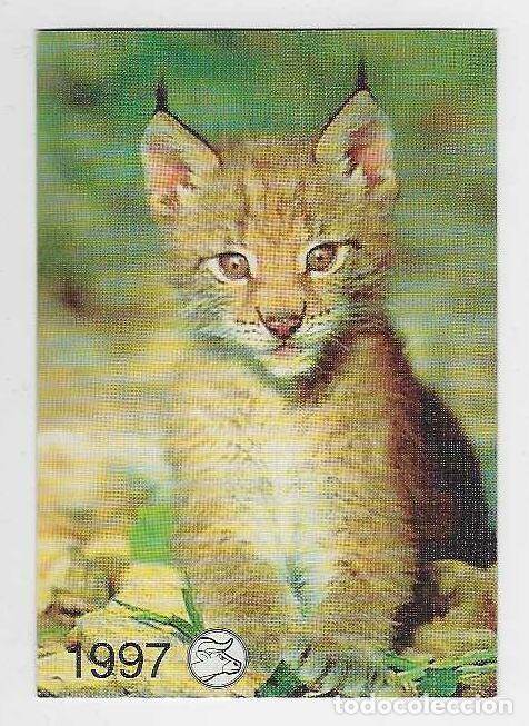 Coleccionismo Calendarios: CALENDARIO DE BOLSILLO DE RUSIA A&Ntilde;O 1997 FAUNA - CR&Iacute;A DE LEONES - VER FOTO REVERSO