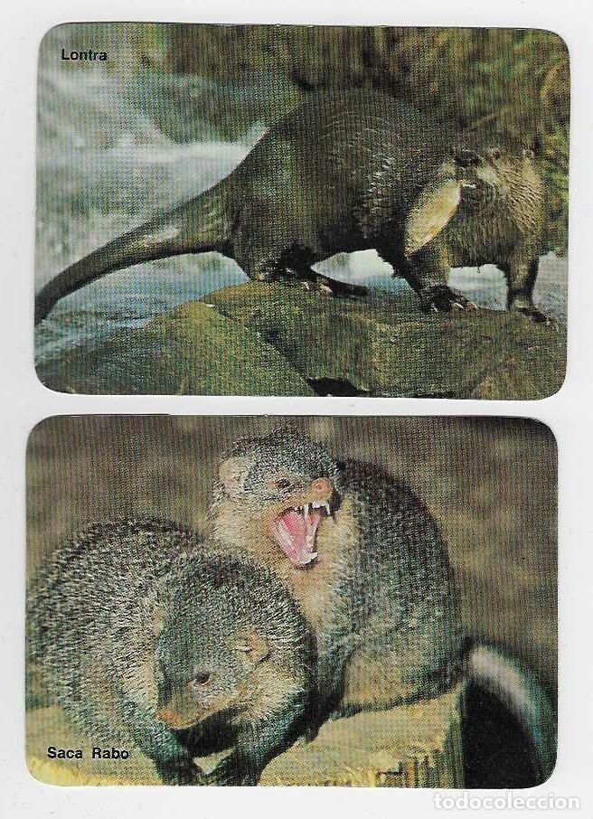 Coleccionismo Calendarios: 2 CALENDARIO DE BOLSILLO DE PORTUGAL A&Ntilde;O 1986 FAUNA - MELONCILLO Y NUTRIA - VER FOTO REVERSO