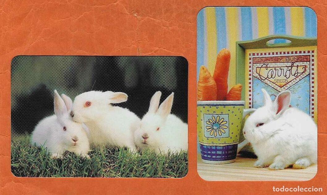 Coleccionismo Calendarios: 2 CALENDARIOS BOLSILLO A&Ntilde;OS 2001 Y 2008 FAUNA - CONEJOS - SIN PUBLICIDAD - VER FOTO REVERSOS