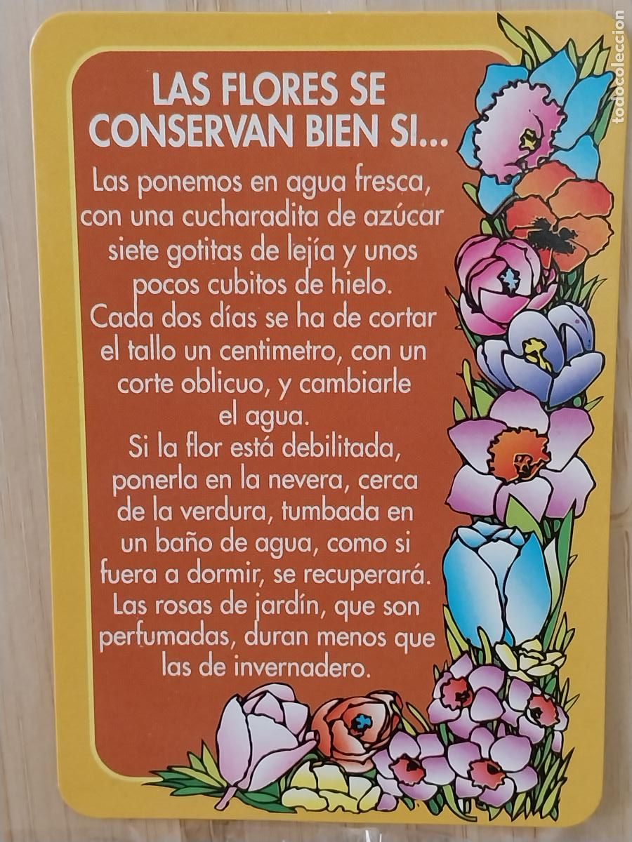 Coleccionismo Calendarios: FLORES ILUSTRACION CALENDARIO 1997 PUBLI *** FLORISTERIA CAPRICHOS *** REF MC 61