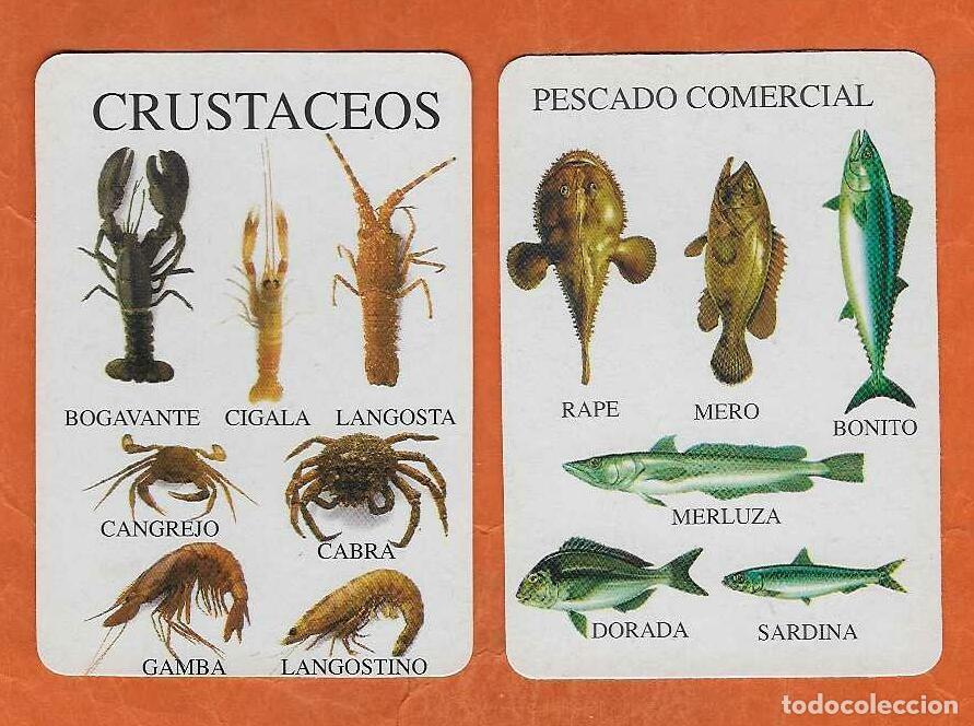 Coleccionismo Calendarios: 2 CALENDARIOS DE BOLSILLO A&Ntilde;O 1995 FAUNA - PESCADO Y CRUSTACEOS - SIN PUBLICIDAD - VER FOTO REVERSOS