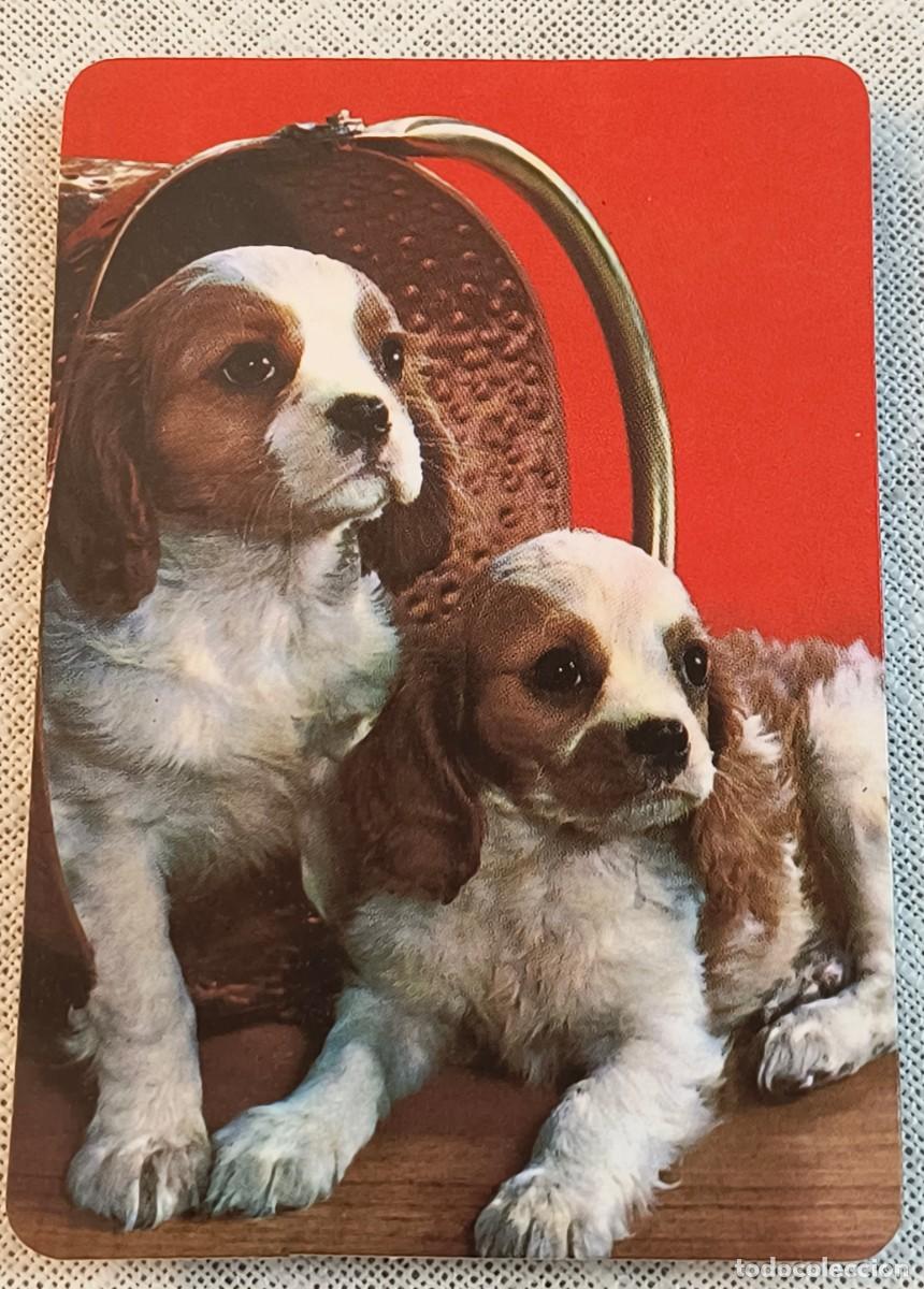 Coleccionismo Calendarios: CALENDARIO BOLSILLO | PERRITOS - A&Ntilde;O 1988