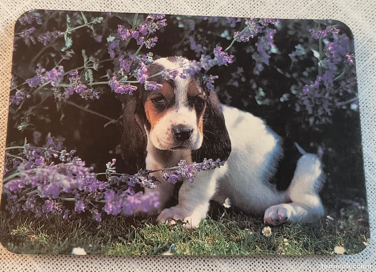 Coleccionismo Calendarios: CALENDARIO BOLSILLO | PERRITO EN JARD&Iacute;N - A&Ntilde;O 1991