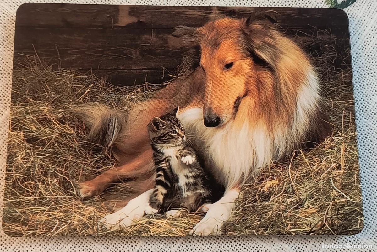 Coleccionismo Calendarios: CALENDARIO BOLSILLO | PERRO CON GATITO - A&Ntilde;O 1991