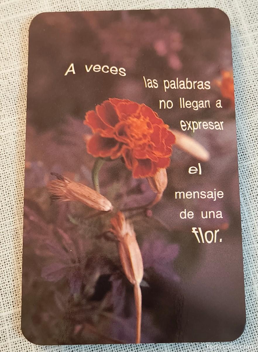 Coleccionismo Calendarios: CALENDARIO BOLSILLO | FLOR / SAN PABLO - A&Ntilde;O 1994