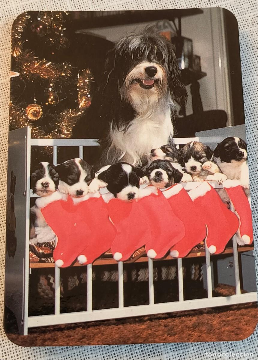Coleccionismo Calendarios: CALENDARIO BOLSILLO | PERRITOS - A&Ntilde;O 1991