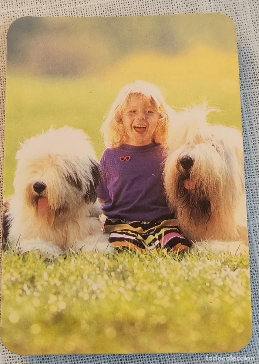 Coleccionismo Calendarios: CALENDARIO BOLSILLO | NI&Ntilde;A CON PERROS - A&Ntilde;O 1992