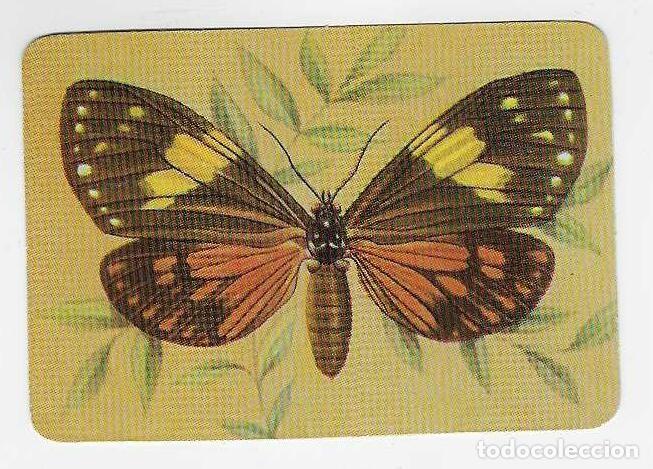 Coleccionismo Calendarios: CALENDARIO BOLSILLO DE PORTUGAL A&Ntilde;O 1987 FAUNA - MARIPOSA - VER FOTO REVERSO
