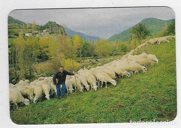 Coleccionismo Calendarios: CALENDARIO DE BOLSILLO A&Ntilde;O 2007 FAUNA - OVEJAS - SIN PUBLICIDAD - VER FOTO REVERSO